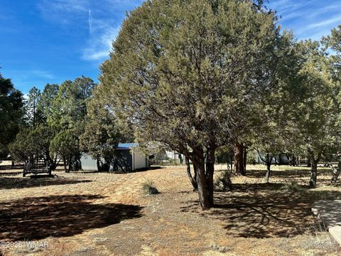 Tiny photo for 2974 Wapiti Drive, Overgaard, AZ 85933 (MLS # 259944)