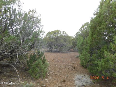 Photo of 8333 Ridge Drive, Show Low, AZ 85901 (MLS # 261007)