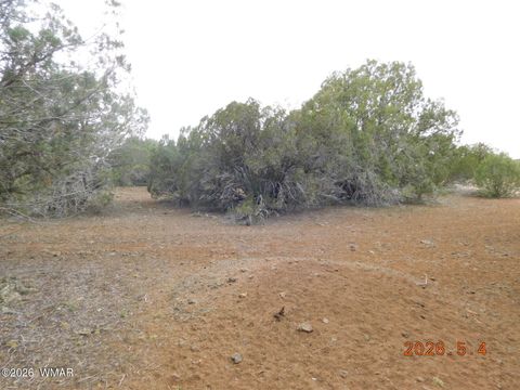 Tiny photo for 8333 Ridge Drive, Show Low, AZ 85901 (MLS # 261007)
