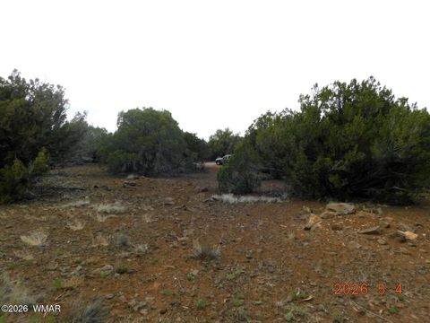 Tiny photo for 8333 Ridge Drive, Show Low, AZ 85901 (MLS # 261007)