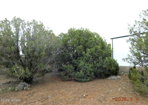 Tiny photo for 8333 Ridge Drive, Show Low, AZ 85901 (MLS # 261007)