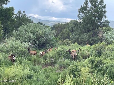 Photo of 15 N3479, Vernon, AZ 85940 (MLS # 256860)