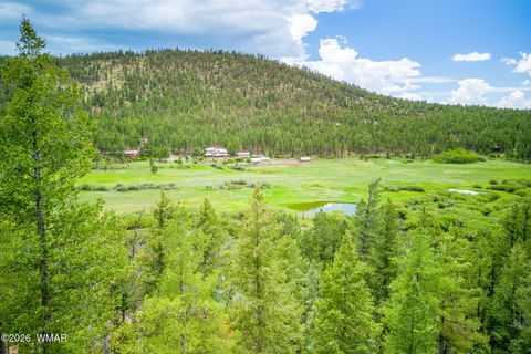 Tiny photo for 1 CR 1320, Greer, AZ 85927 (MLS # 260981)