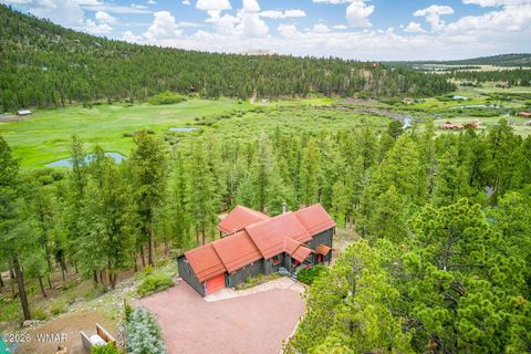 Tiny photo for 1 CR 1320, Greer, AZ 85927 (MLS # 260981)