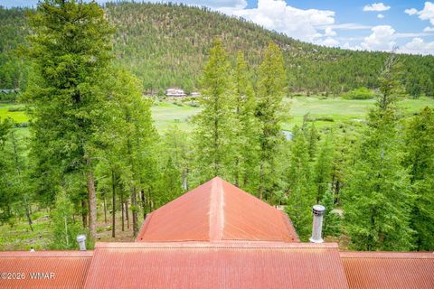 Tiny photo for 1 CR 1320, Greer, AZ 85927 (MLS # 260981)