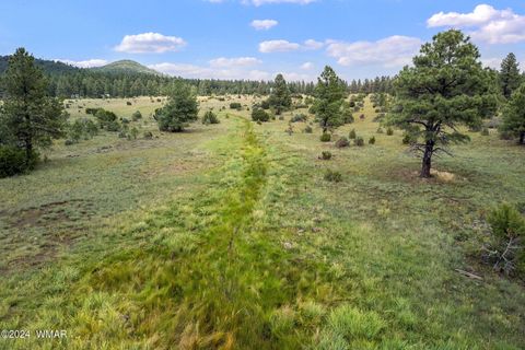 Tiny photo for 000 Dipping Vat Spring Fire Road, Vernon, AZ 85940 (MLS # 257535)