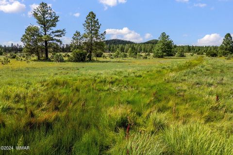 Tiny photo for 000 Dipping Vat Spring Fire Road, Vernon, AZ 85940 (MLS # 257535)