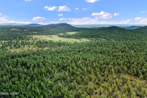 Tiny photo for 000 Dipping Vat Spring Fire Road, Vernon, AZ 85940 (MLS # 257535)
