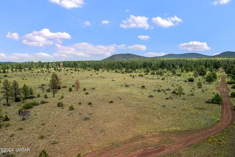 Tiny photo for 000 Dipping Vat Spring Fire Road, Vernon, AZ 85940 (MLS # 257535)