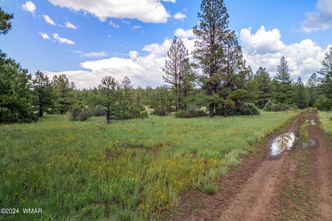 Tiny photo for 000 Dipping Vat Spring Fire Road, Vernon, AZ 85940 (MLS # 257535)