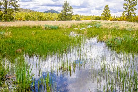 Tiny photo for 000 Dipping Vat Spring Fire Road, Vernon, AZ 85940 (MLS # 257535)