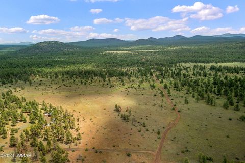 Tiny photo for 000 Dipping Vat Spring Fire Road, Vernon, AZ 85940 (MLS # 257535)