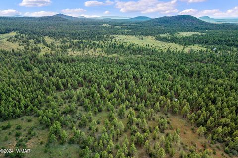 Tiny photo for 000 Dipping Vat Spring Fire Road, Vernon, AZ 85940 (MLS # 257535)