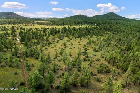 Photo of 000 Dipping Vat Spring Fire Road, Vernon, AZ 85940 (MLS # 257535)