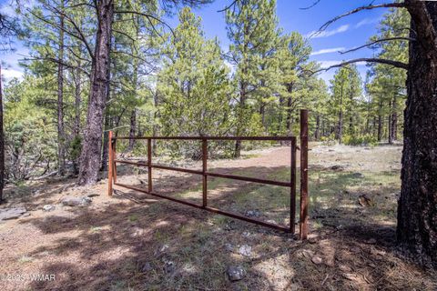 Tiny photo for 000 Dipping Vat Spring Fire Road, Vernon, AZ 85940 (MLS # 257535)