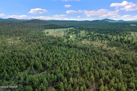 Tiny photo for 000 Dipping Vat Spring Fire Road, Vernon, AZ 85940 (MLS # 257535)