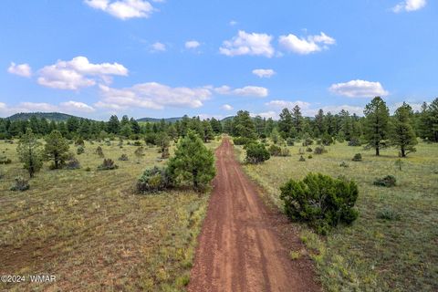 Tiny photo for 000 Dipping Vat Spring Fire Road, Vernon, AZ 85940 (MLS # 257535)