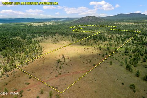 Tiny photo for 000 Dipping Vat Spring Fire Road, Vernon, AZ 85940 (MLS # 257535)