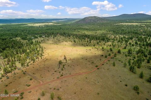 Tiny photo for 000 Dipping Vat Spring Fire Road, Vernon, AZ 85940 (MLS # 257535)