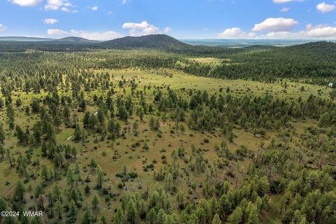 Tiny photo for 000 Dipping Vat Spring Fire Road, Vernon, AZ 85940 (MLS # 257535)