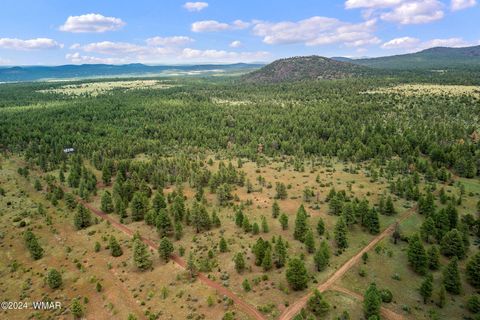 Tiny photo for 000 Dipping Vat Spring Fire Road, Vernon, AZ 85940 (MLS # 257535)