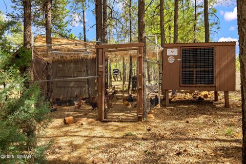 Tiny photo for 2032 Ponderosa Trail, Overgaard, AZ 85933 (MLS # 257317)