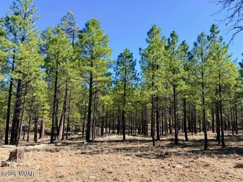 Tiny photo for 1947 Pine Canyon Drive, Happy Jack, AZ 86024 (MLS # 260010)