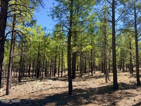 Tiny photo for 1947 Pine Canyon Drive, Happy Jack, AZ 86024 (MLS # 260010)