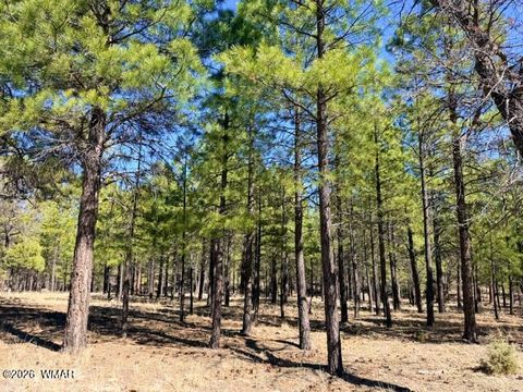 Photo of 1947 Pine Canyon Drive, Happy Jack, AZ 86024 (MLS # 260010)