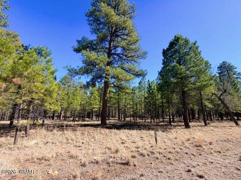 Tiny photo for 1947 Pine Canyon Drive, Happy Jack, AZ 86024 (MLS # 260010)