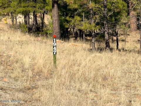 Tiny photo for 1947 Pine Canyon Drive, Happy Jack, AZ 86024 (MLS # 260010)
