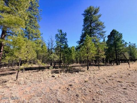 Tiny photo for 1947 Pine Canyon Drive, Happy Jack, AZ 86024 (MLS # 260010)
