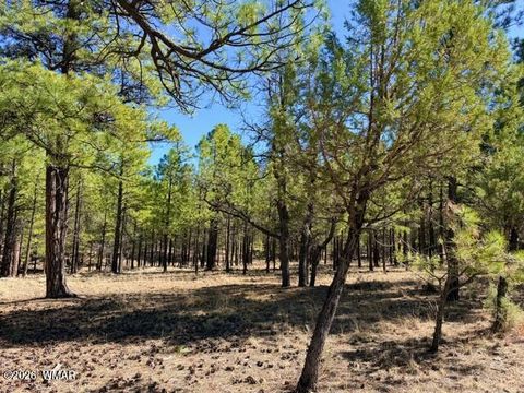 Tiny photo for 1947 Pine Canyon Drive, Happy Jack, AZ 86024 (MLS # 260010)