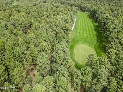 Tiny photo for 3344 Woodpecker Lane, Pinetop, AZ 85935 (MLS # 259979)