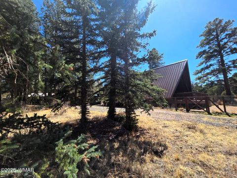 Photo of 16 County Road N4035, Greer, AZ 85927 (MLS # 260428)