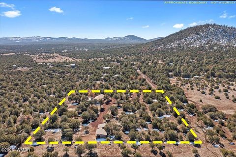 Tiny photo for 6 County Road 3166, Vernon, AZ 85940 (MLS # 259409)