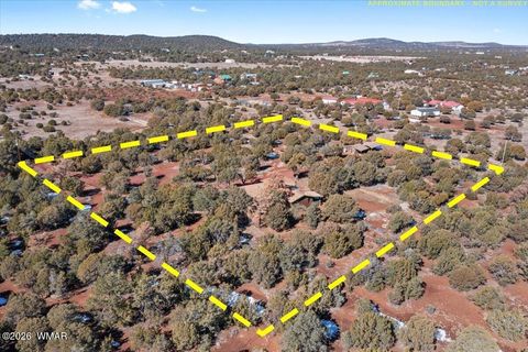 Tiny photo for 6 County Road 3166, Vernon, AZ 85940 (MLS # 259409)