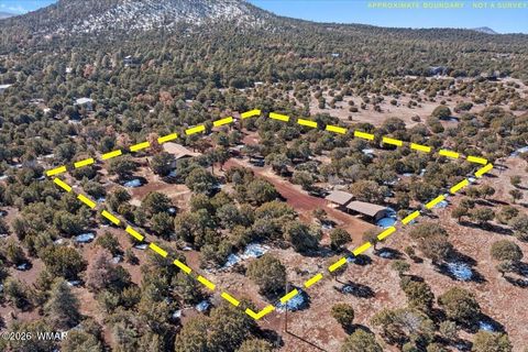 Tiny photo for 6 County Road 3166, Vernon, AZ 85940 (MLS # 259409)