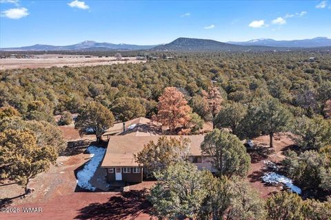 Tiny photo for 6 County Road 3166, Vernon, AZ 85940 (MLS # 259409)