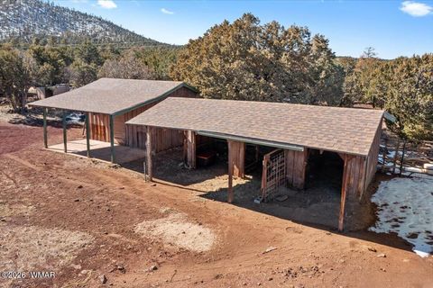 Tiny photo for 6 County Road 3166, Vernon, AZ 85940 (MLS # 259409)