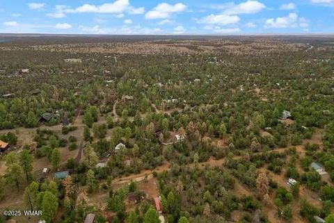 Tiny photo for 3045 Aspen Road, Overgaard, AZ 85933 (MLS # 257650)