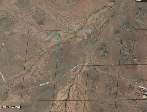 Tiny photo for 9137 Lost Trail, Snowflake, AZ 85937 (MLS # 243025)