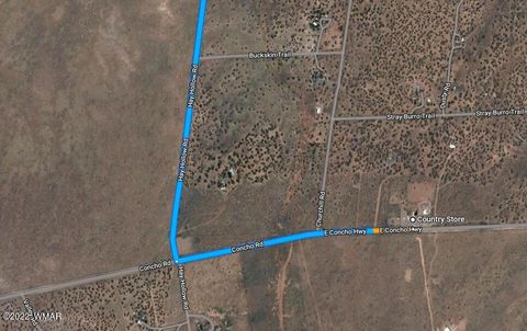 Tiny photo for 9137 Lost Trail, Snowflake, AZ 85937 (MLS # 243025)