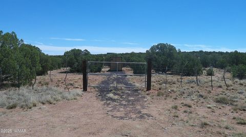 Tiny photo for 4178 Indian Bend Road, Snowflake, AZ 85937 (MLS # 257220)
