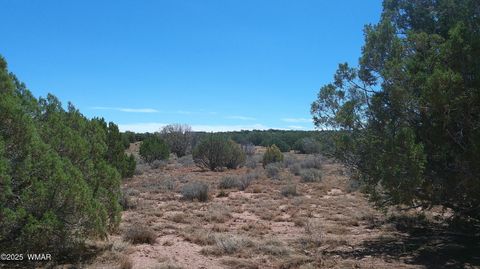 Tiny photo for 4178 Indian Bend Road, Snowflake, AZ 85937 (MLS # 257220)