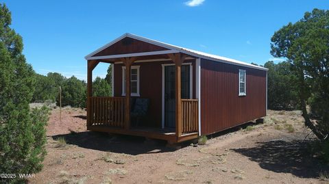 Photo of 4178 Indian Bend Road, Snowflake, AZ 85937 (MLS # 257220)