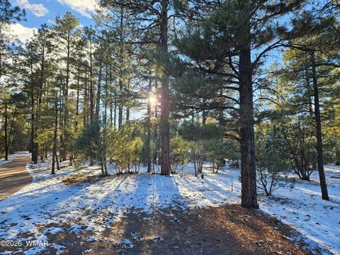 Tiny photo for 3321 W Mariposa Lane, Show Low, AZ 85901 (MLS # 259101)