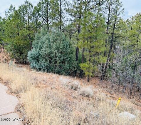 Tiny photo for 1790 W Snow Creek Trail, Show Low, AZ 85901 (MLS # 259075)