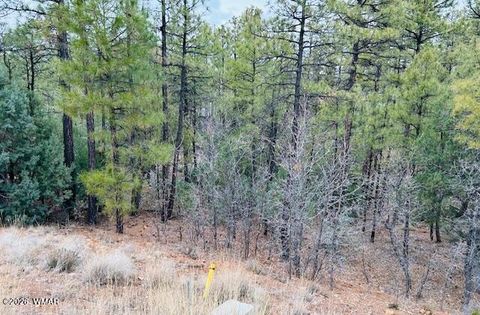 Tiny photo for 1790 W Snow Creek Trail, Show Low, AZ 85901 (MLS # 259075)