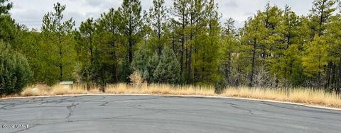 Tiny photo for 1790 W Snow Creek Trail, Show Low, AZ 85901 (MLS # 259075)